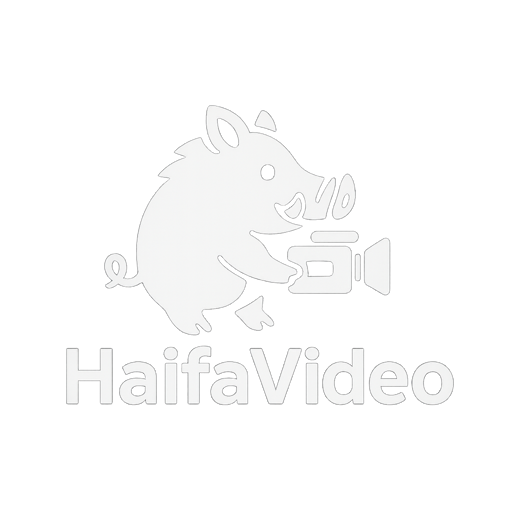 לוגו חיפה וידאו